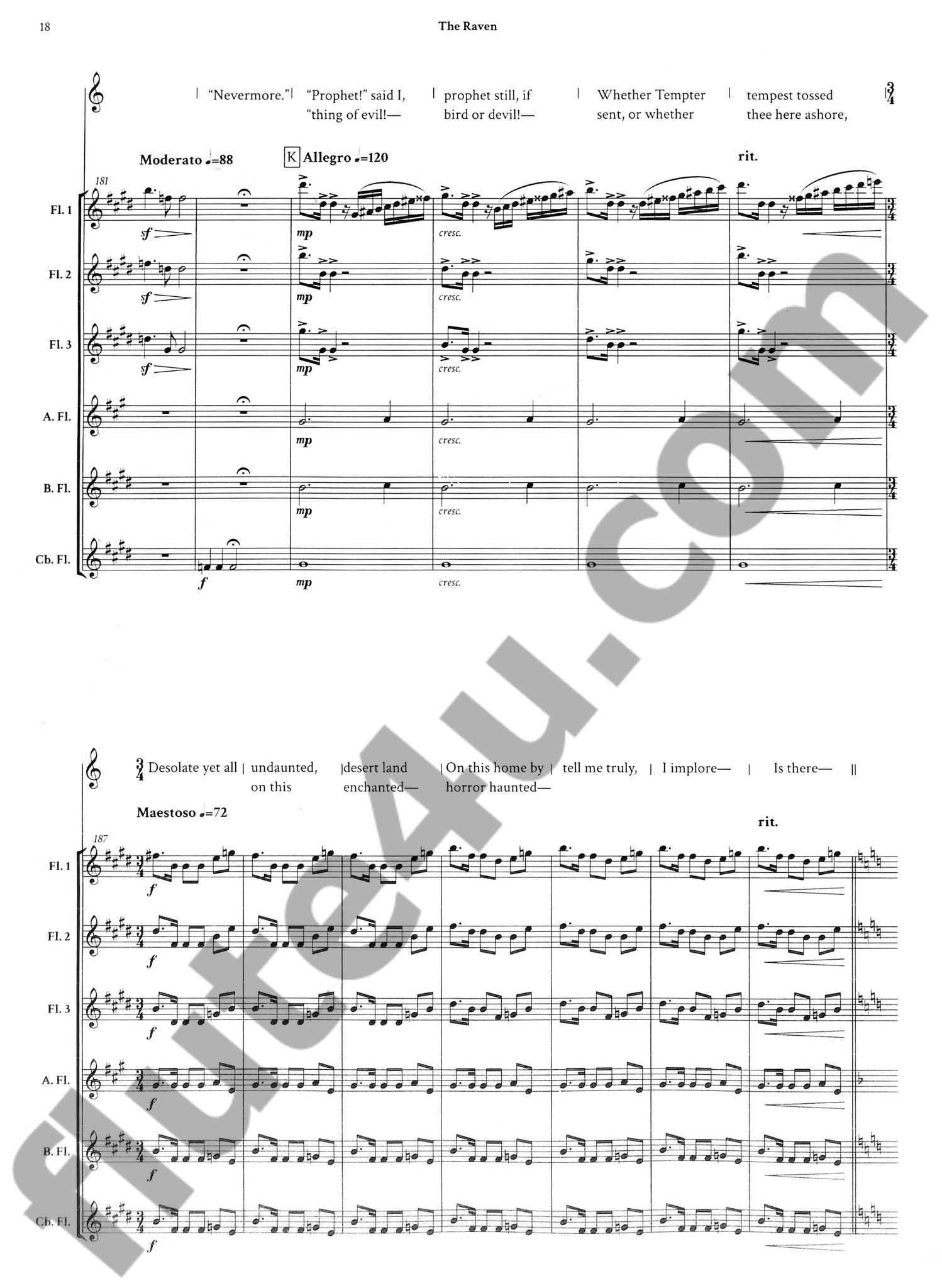 Heinrich, M :: The Raven