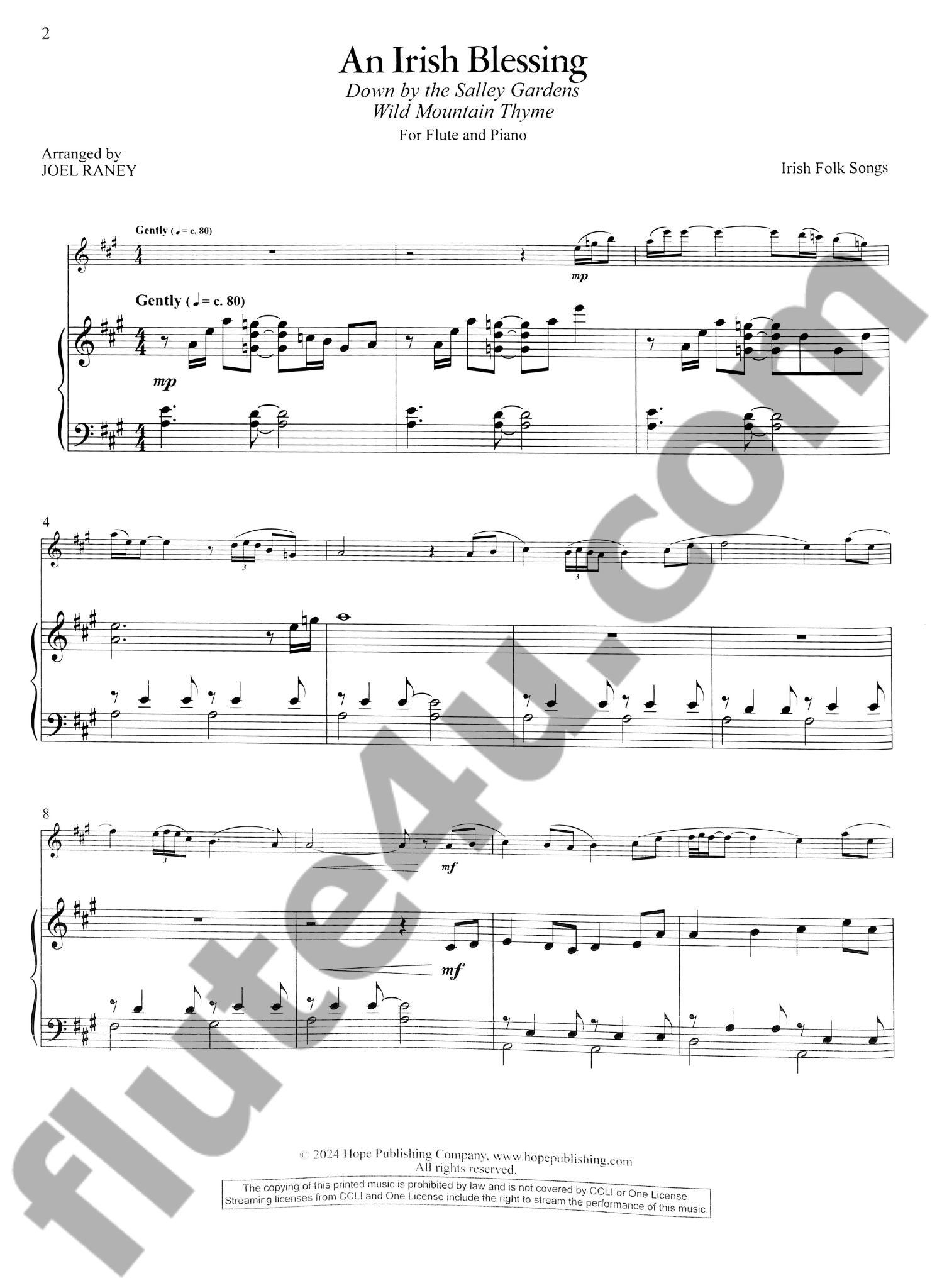 Various :: Flute Stylings Vol. 6