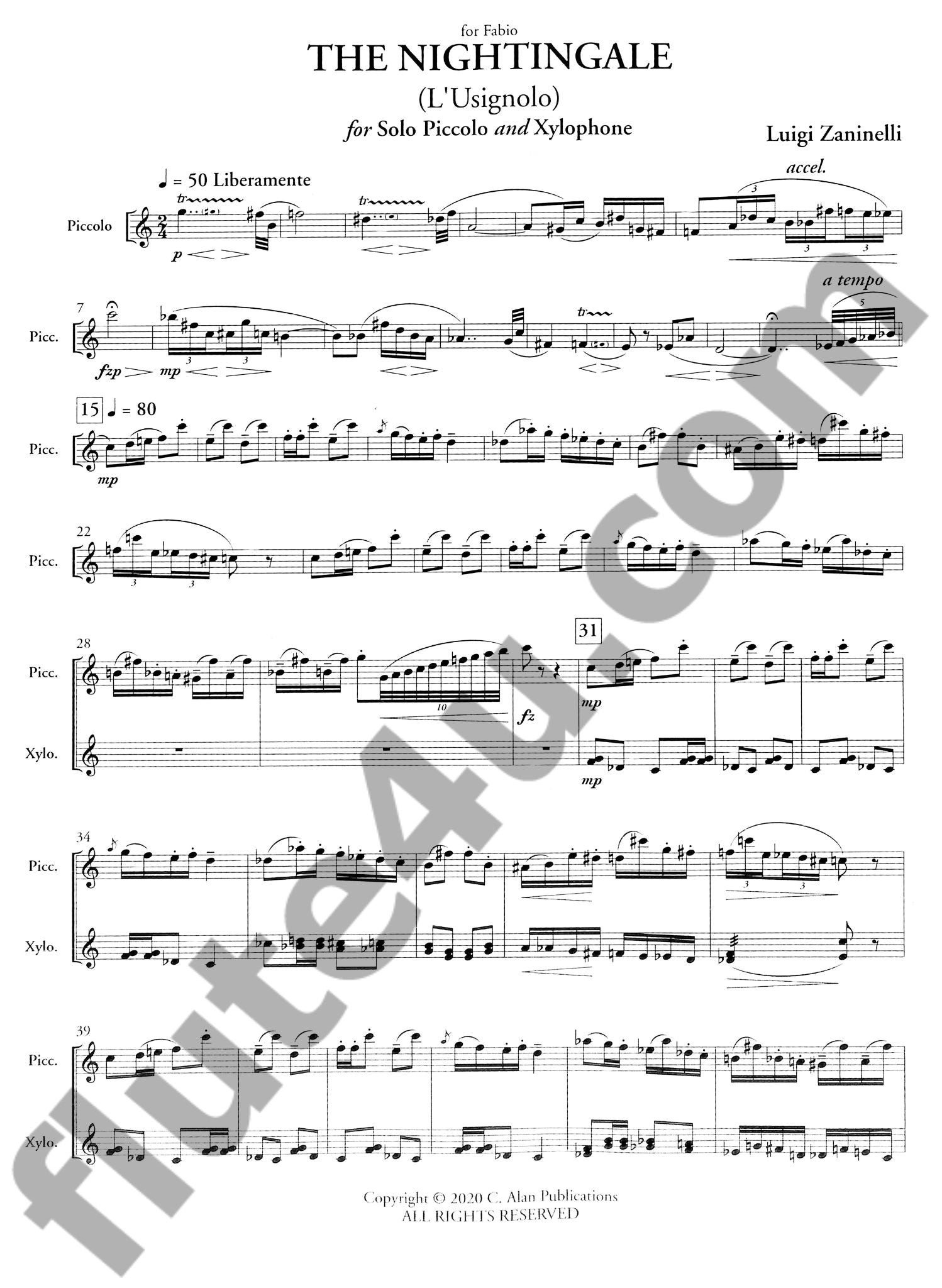 Zaninelli, L :: The Nightingale