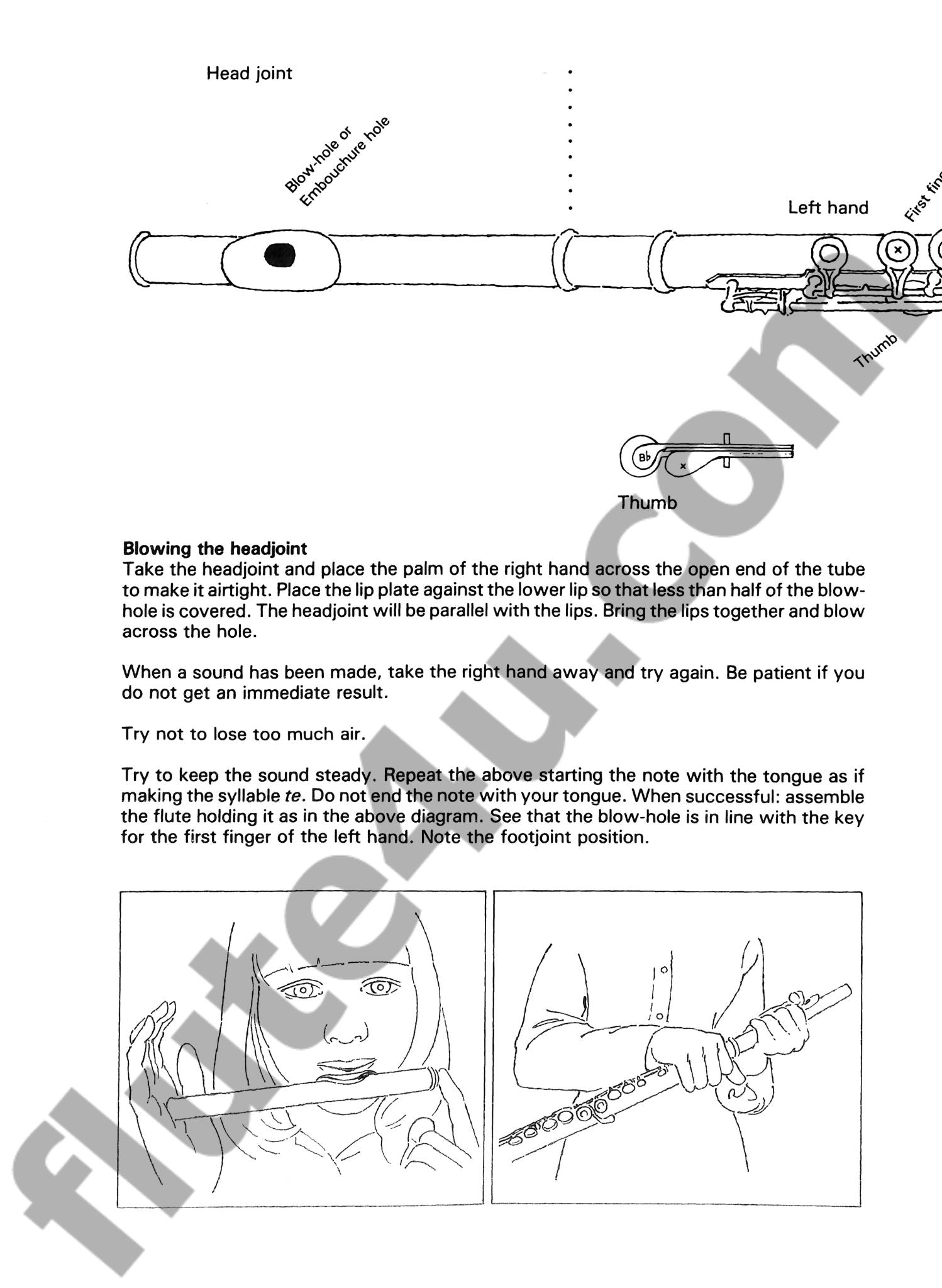 Wye, T :: Beginner's Book for the Flute - Part One