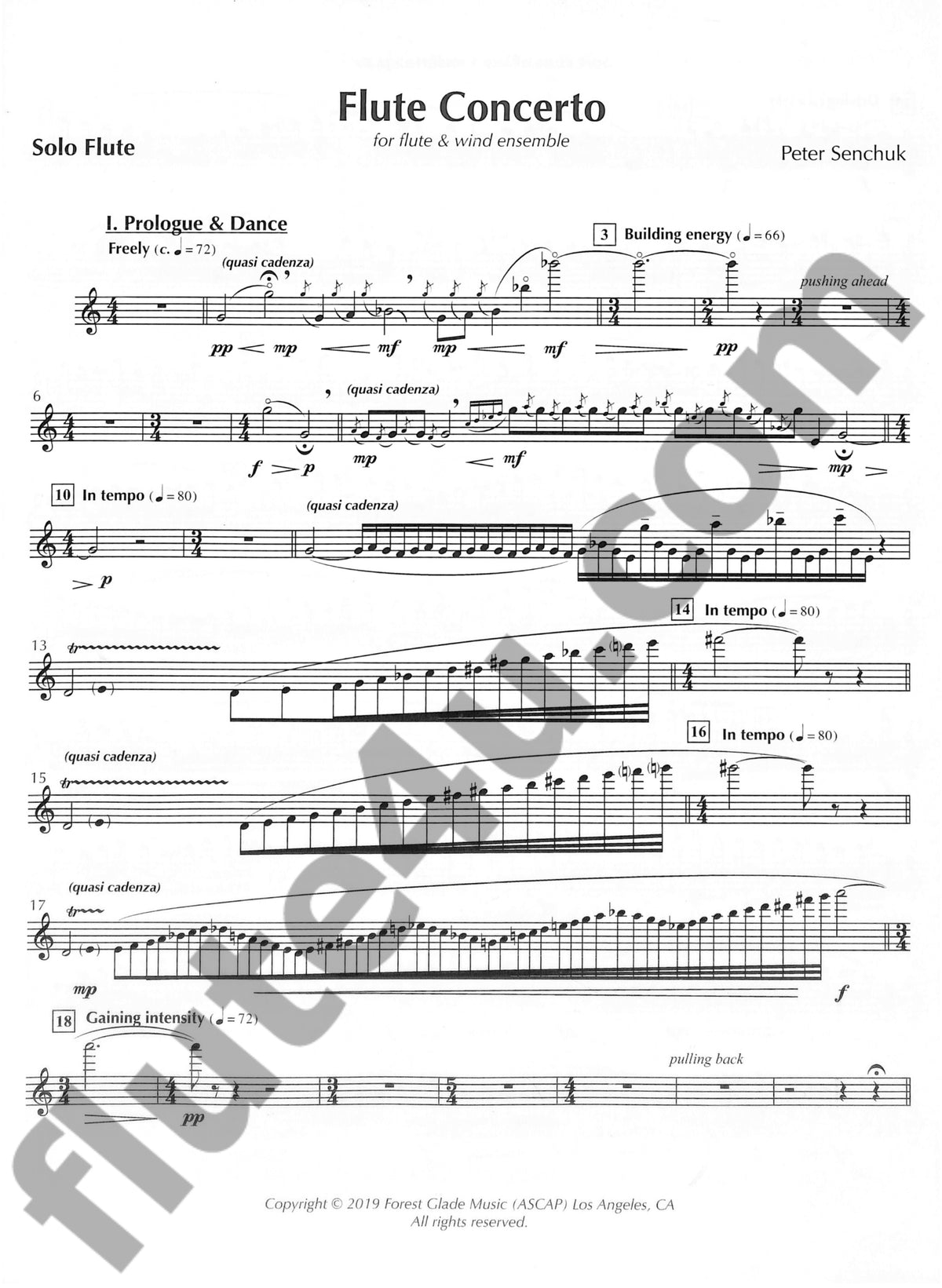 Senchuk, P :: Flute Concerto