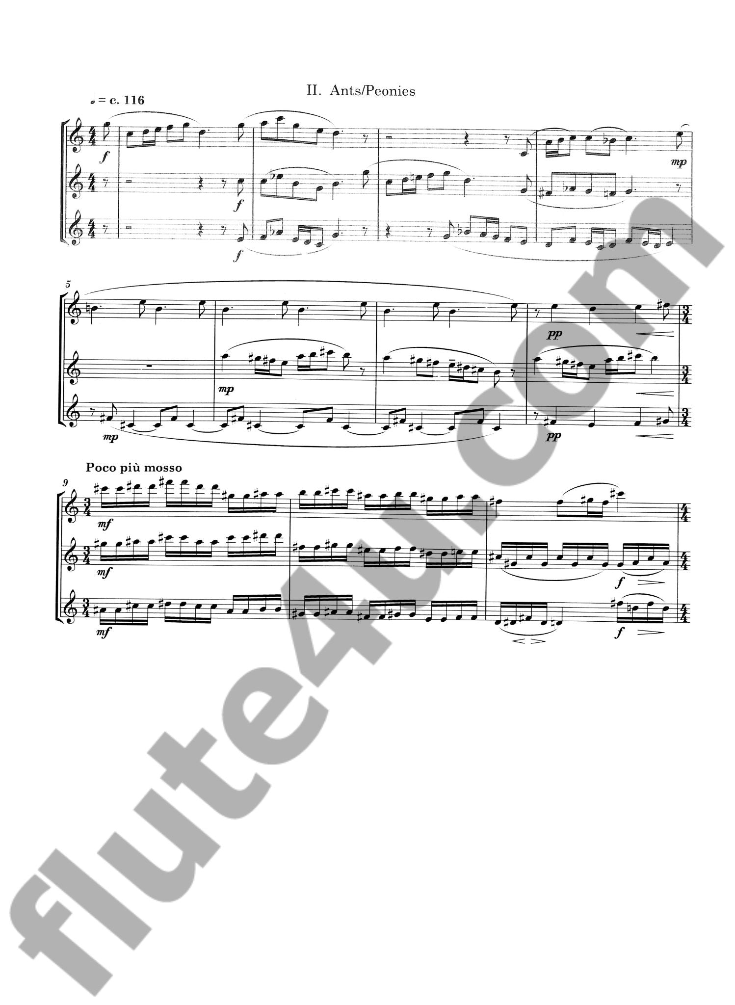 Schocker, G :: Flutes in the Garden