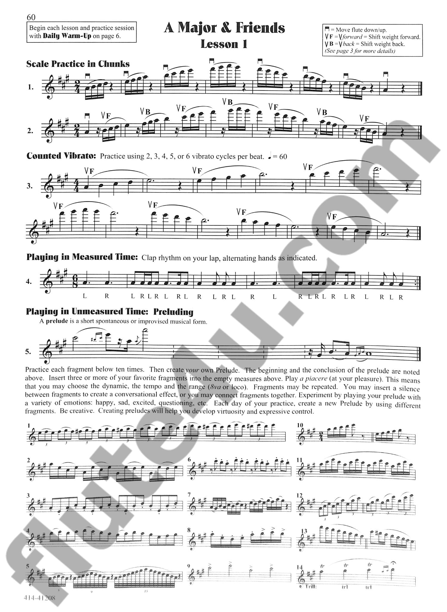 George, P; Louke, PA :: Flute 102: Mastering The Basics