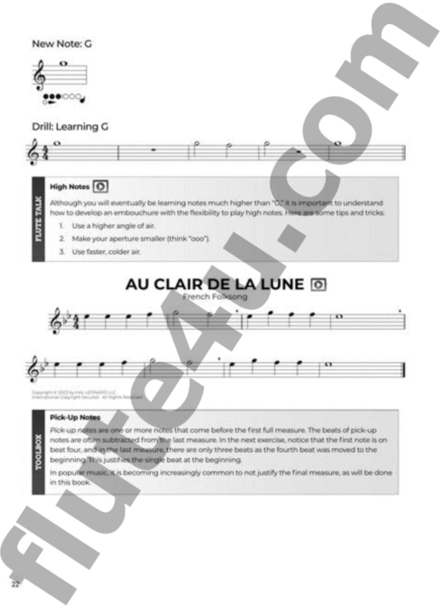 Morgan-Booth, E :: Do-It-Yourself Flute