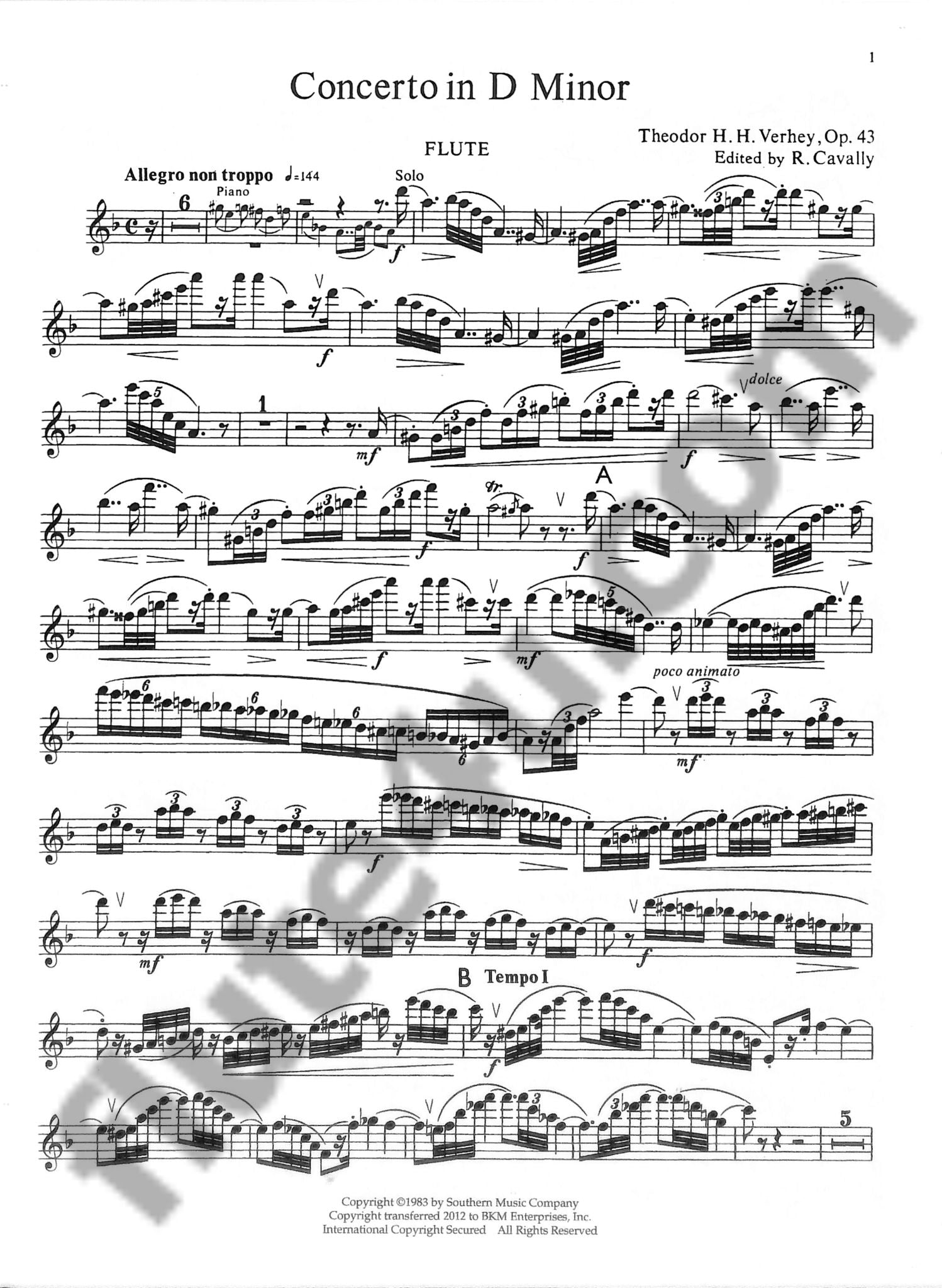 Verhey, T :: Concerto in D minor op. 43