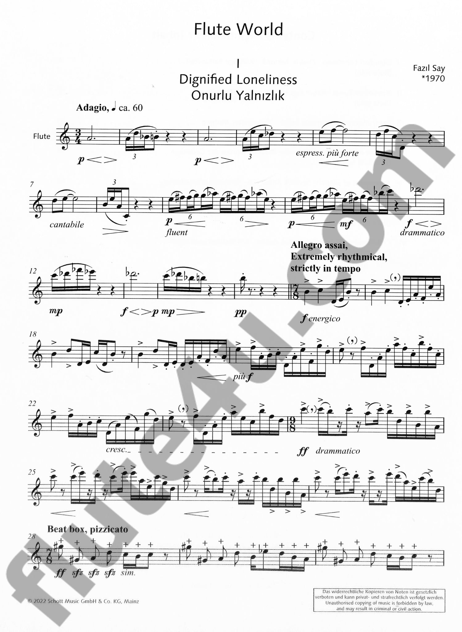 Say, F :: Flute World: 7 Solo Pieces and Duets