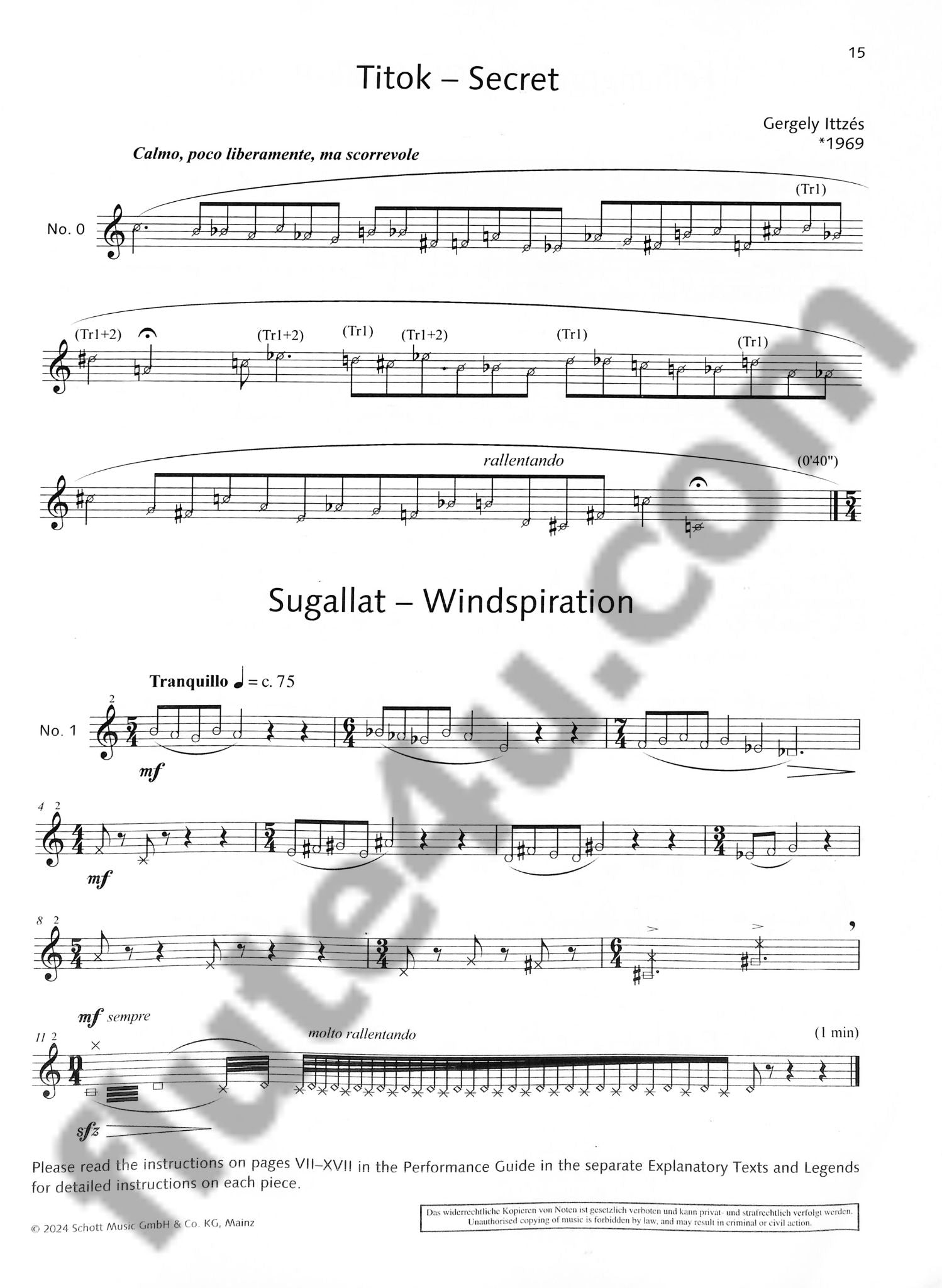 Ittzes, G :: The Flute Expedition, Vol. 1