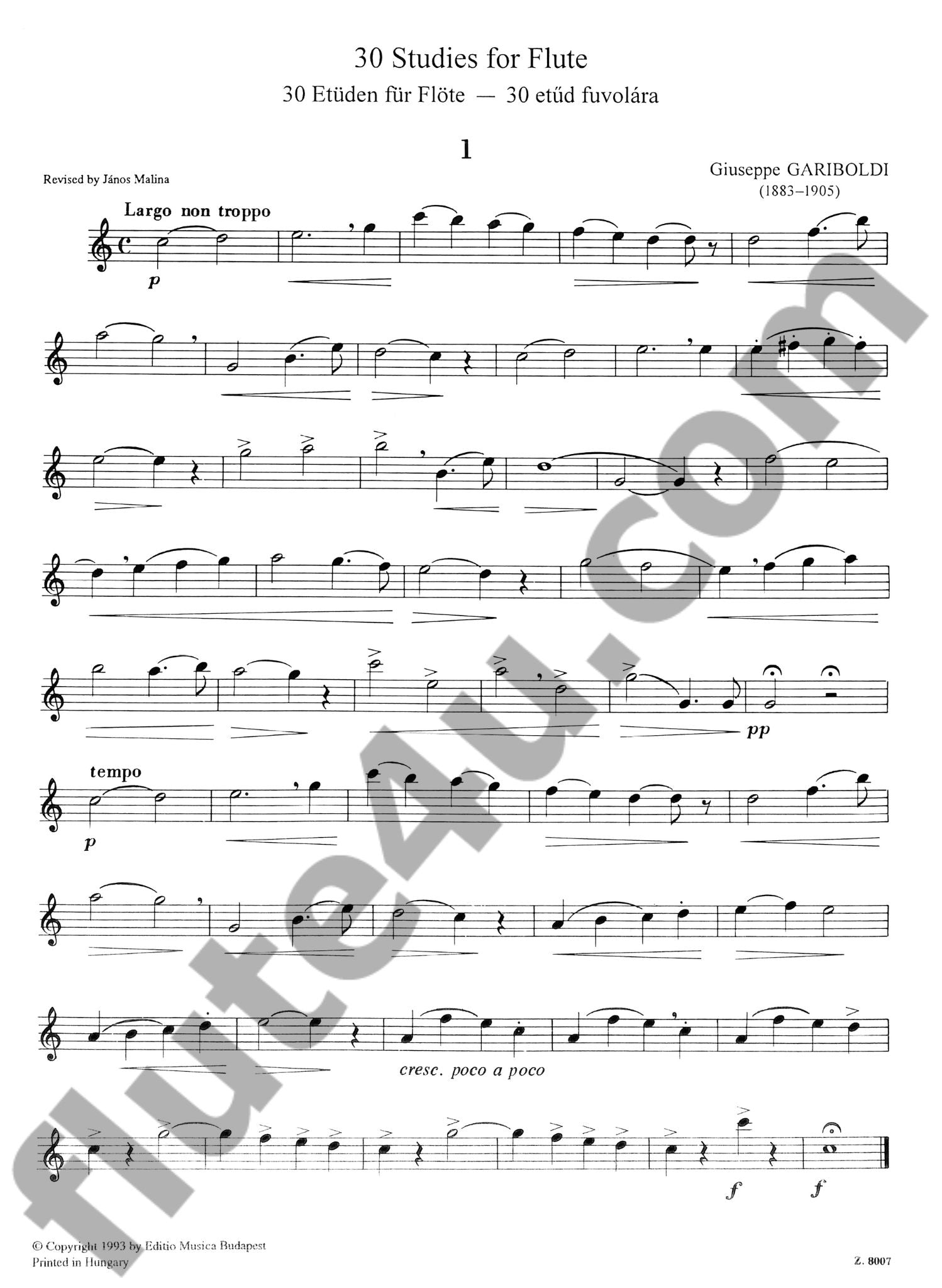 30 Easy and Progressive Studies for Flute