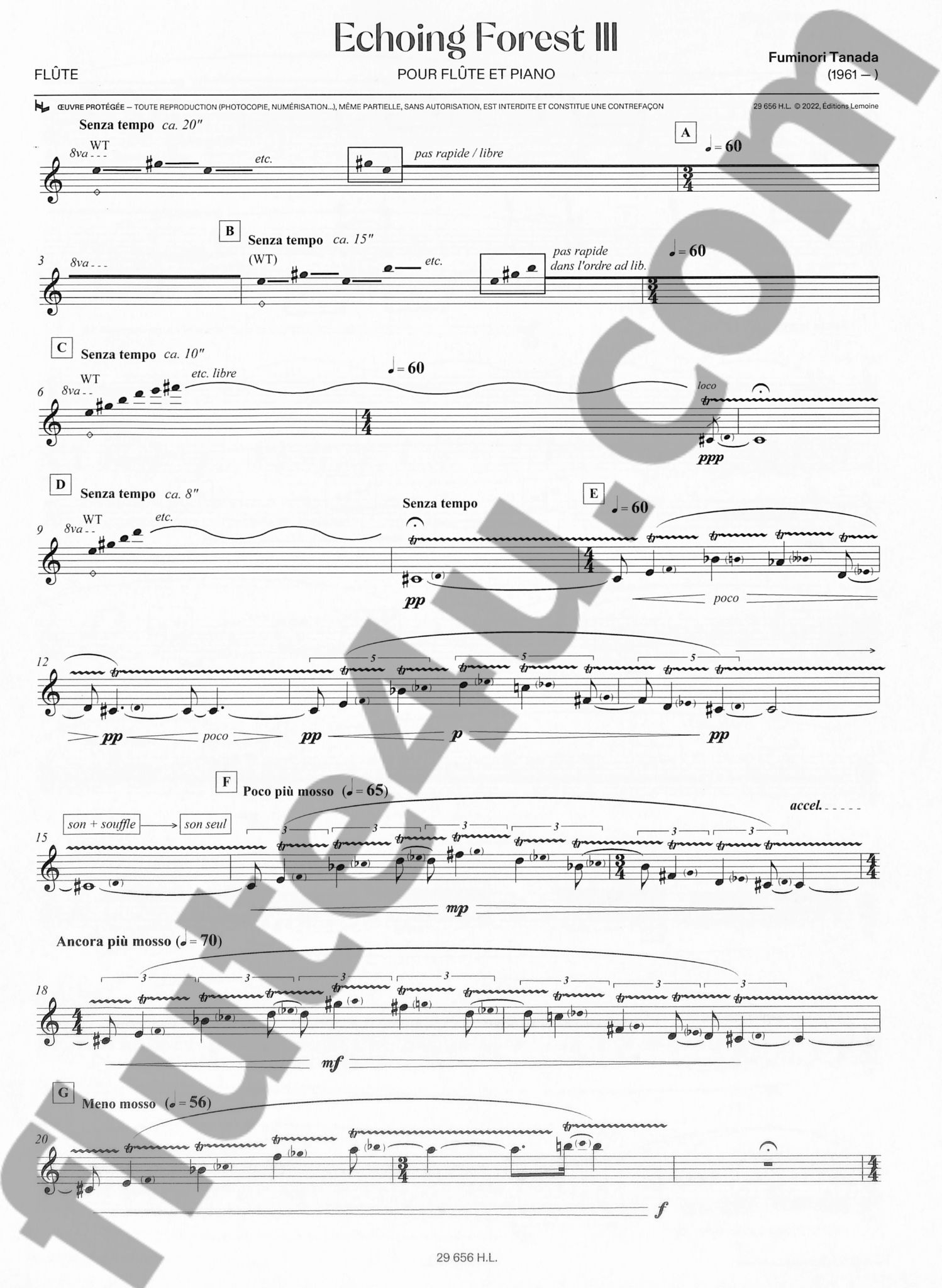 Tanada, F :: Echoing Forest III