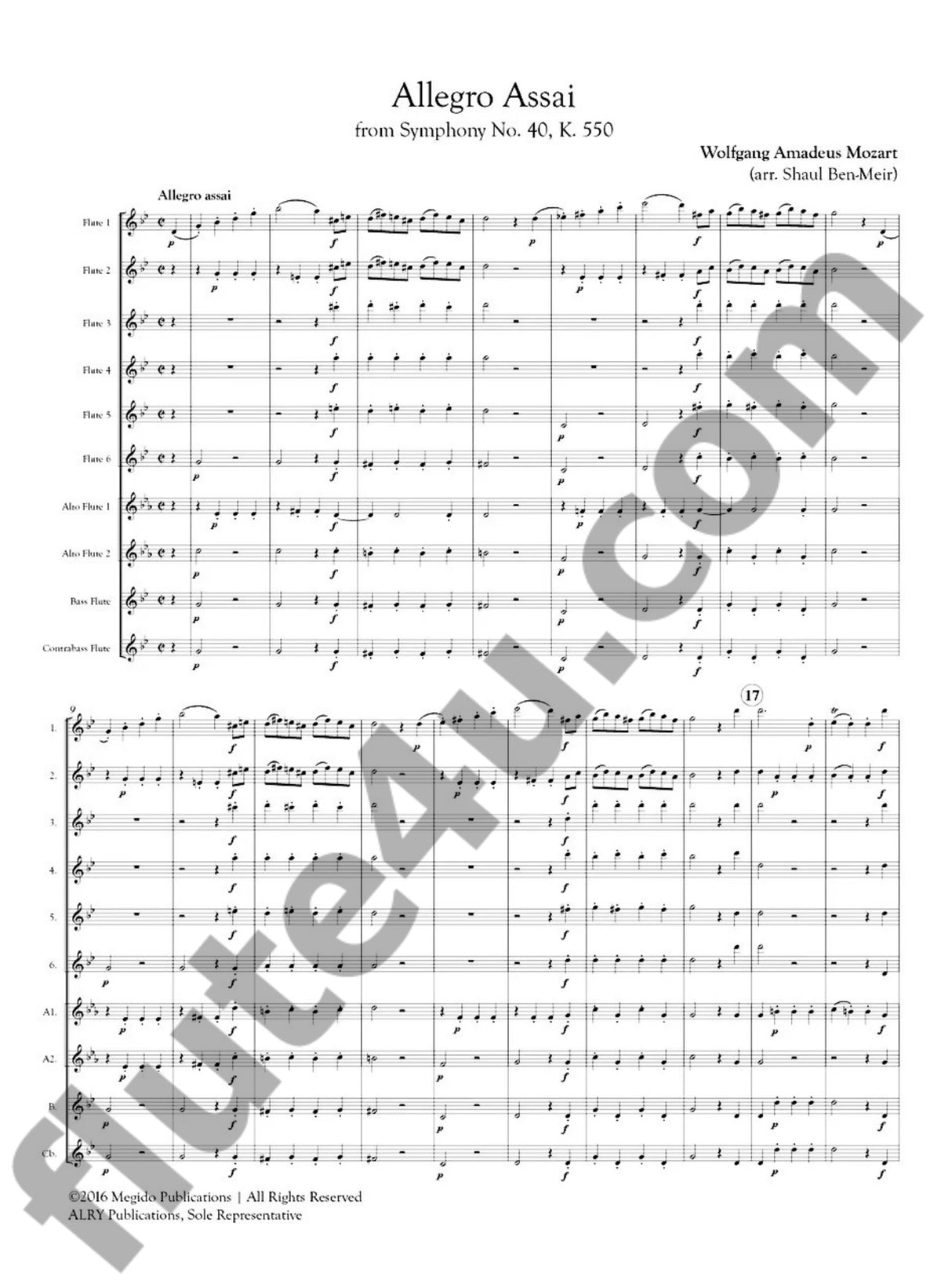 Mozart, WA :: Allegro Assai from Symphony No. 40, K. 550