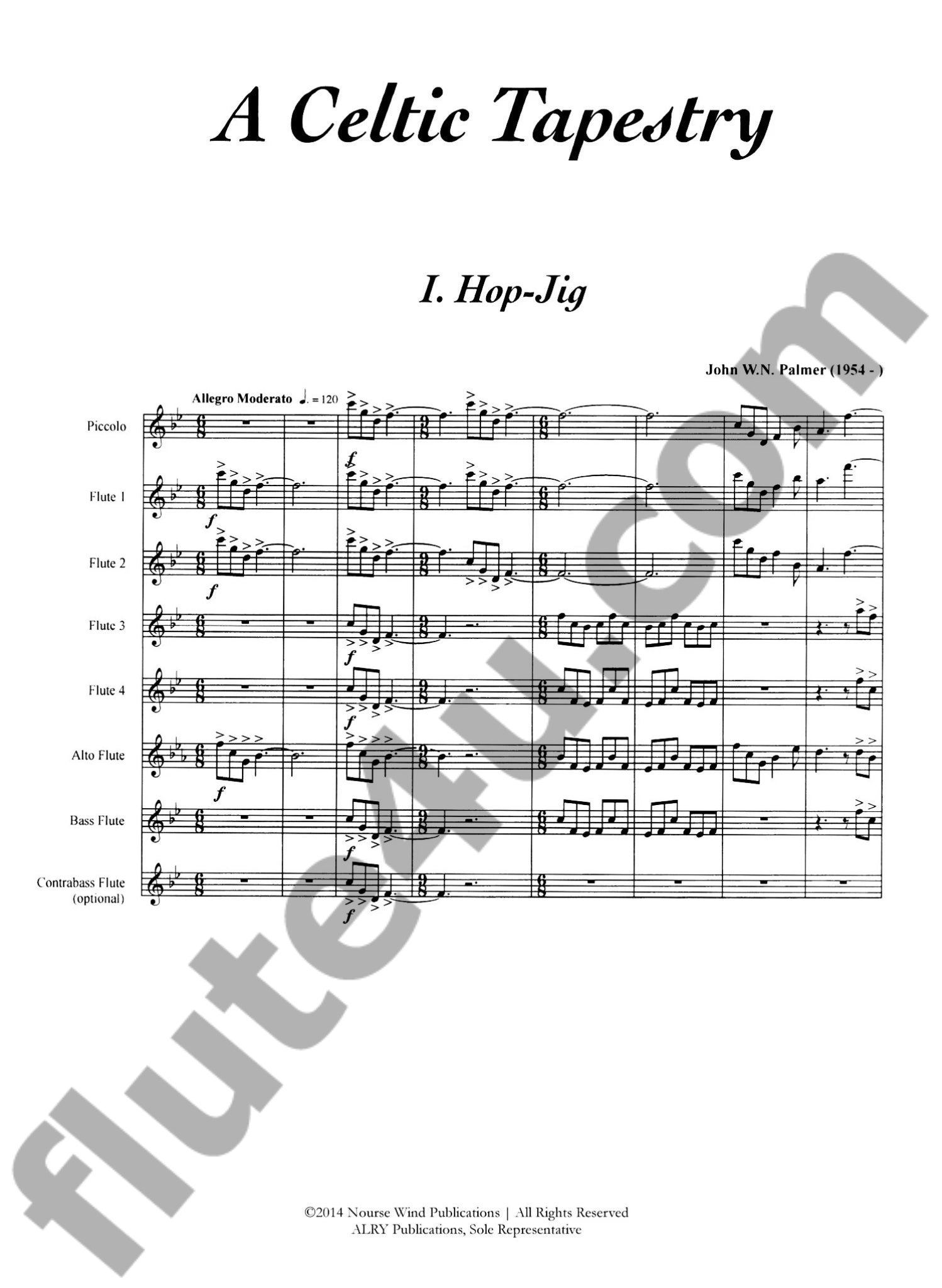 Palmer, JWN :: A Celtic Tapestry