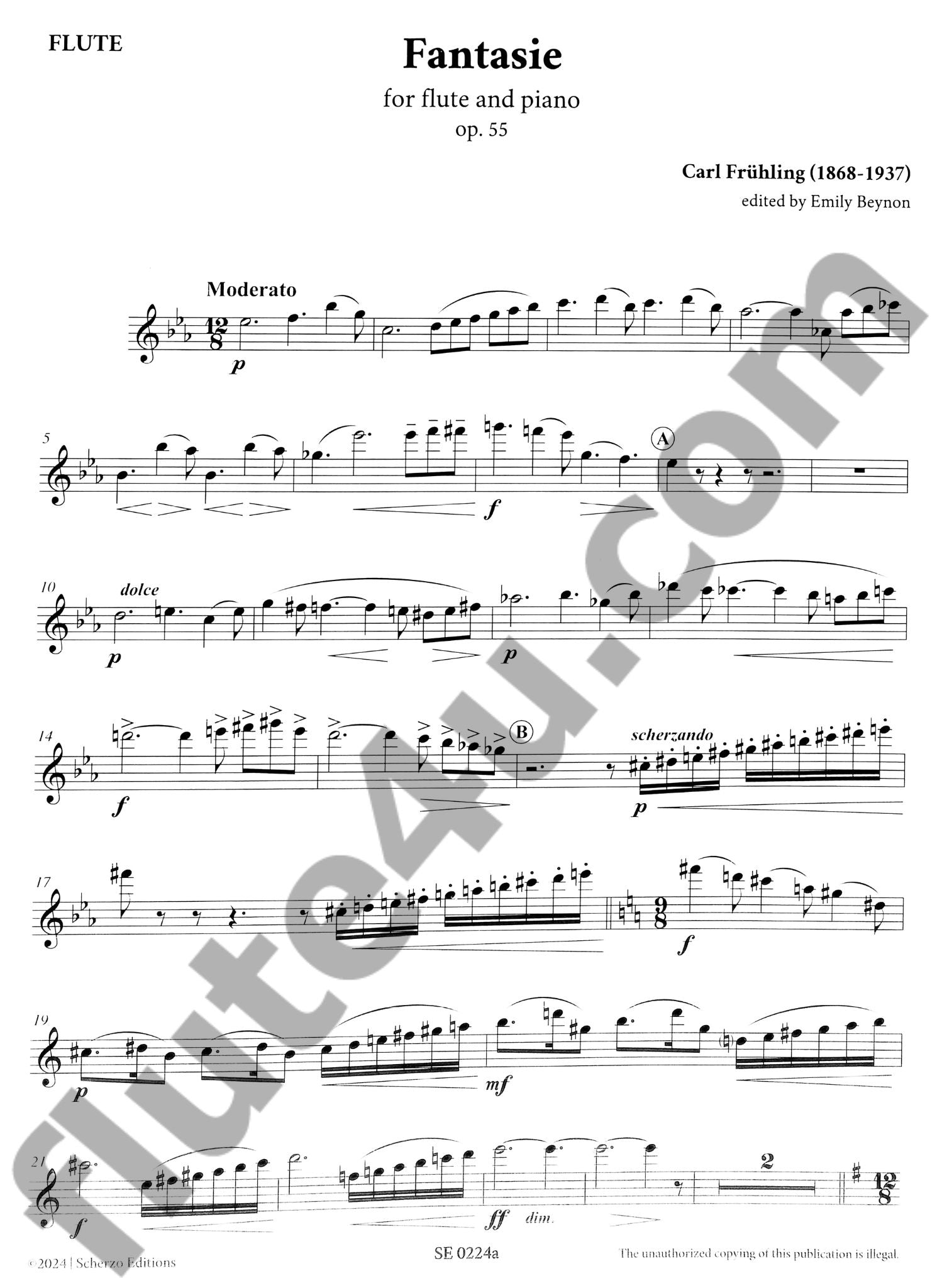 Fruhling, C :: Fantasie, Op. 55