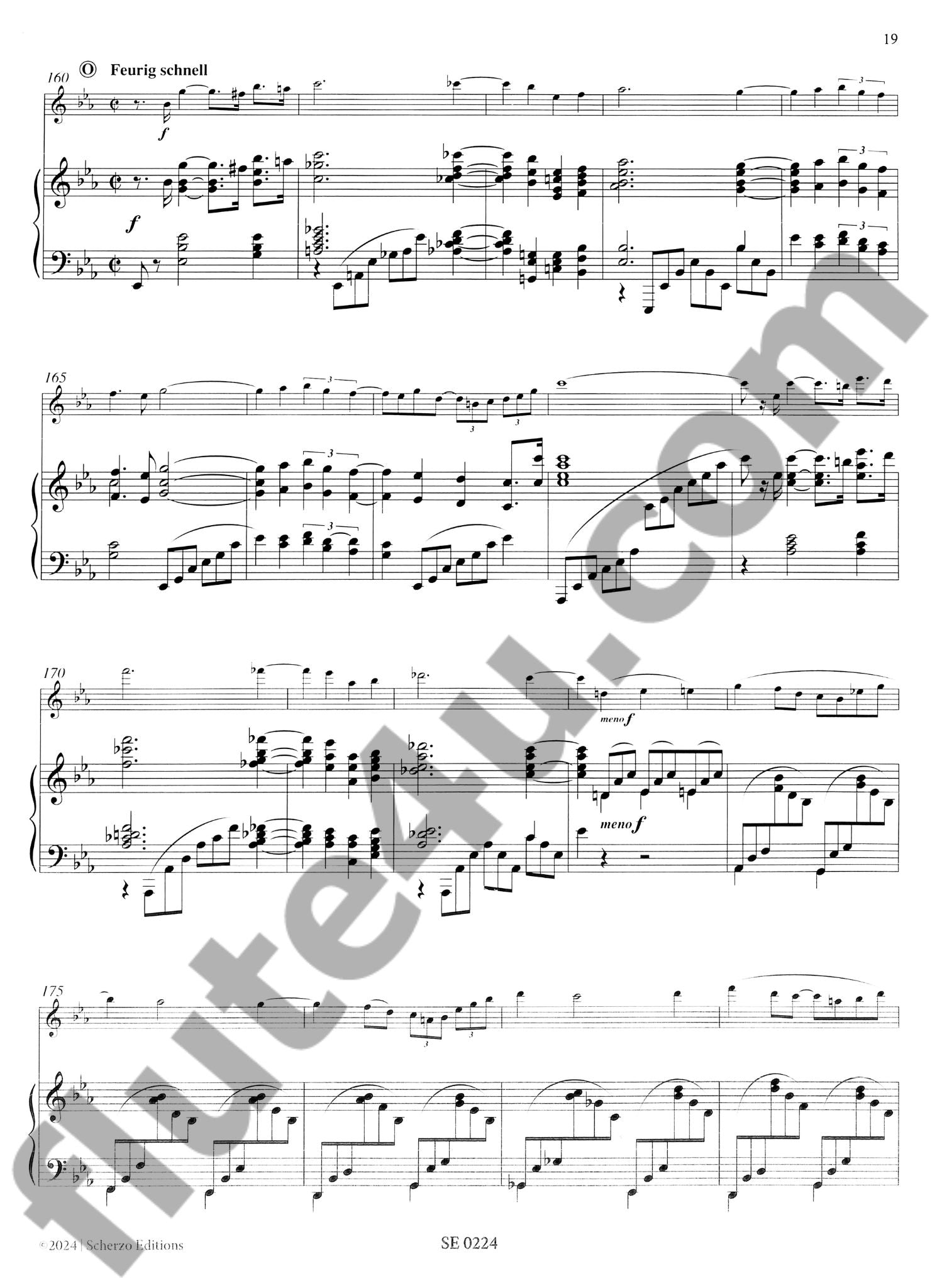 Fruhling, C :: Fantasie, Op. 55