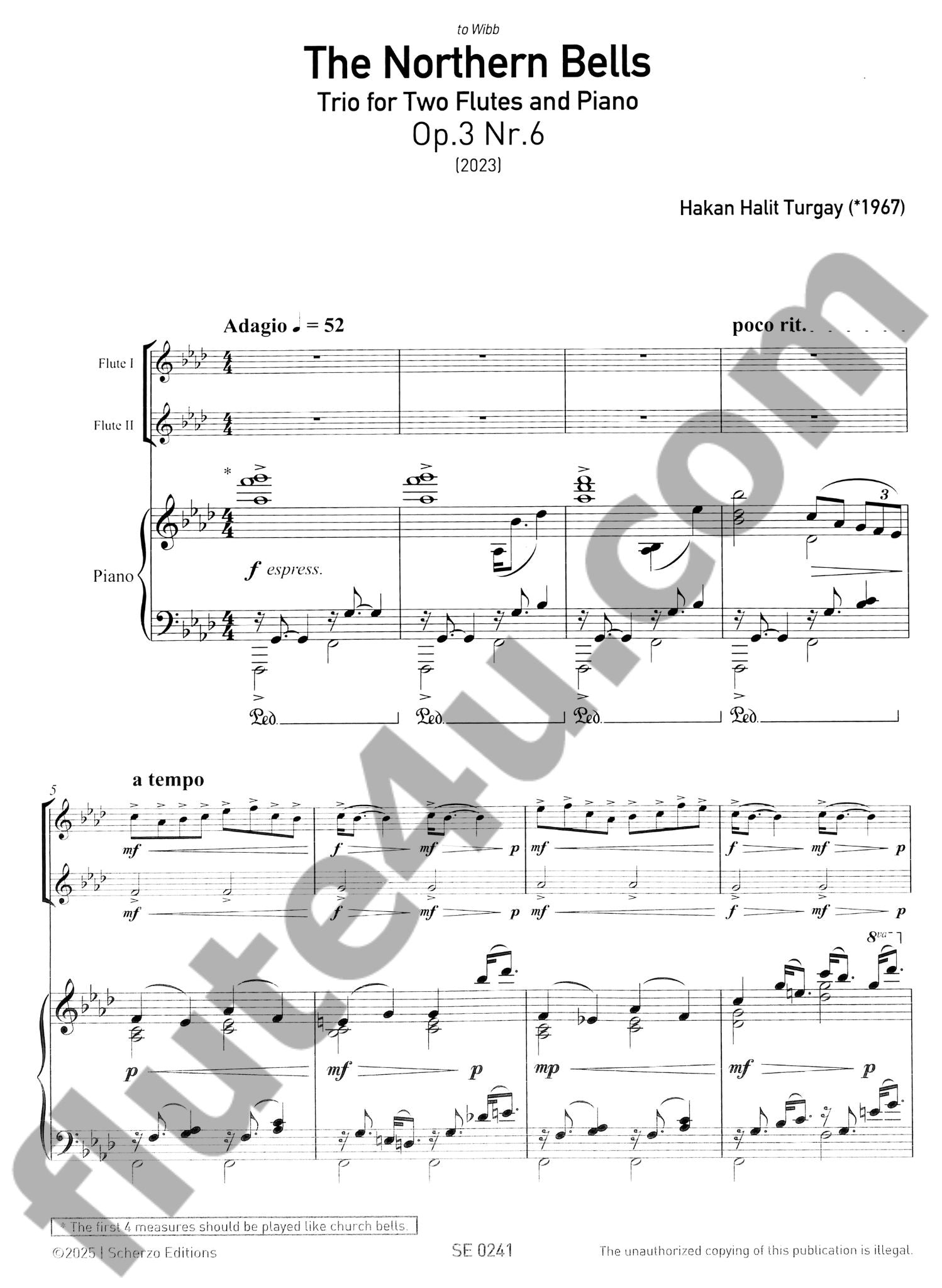 Turgay, HH :: The Northern Bells, Op. 3, Nr. 6