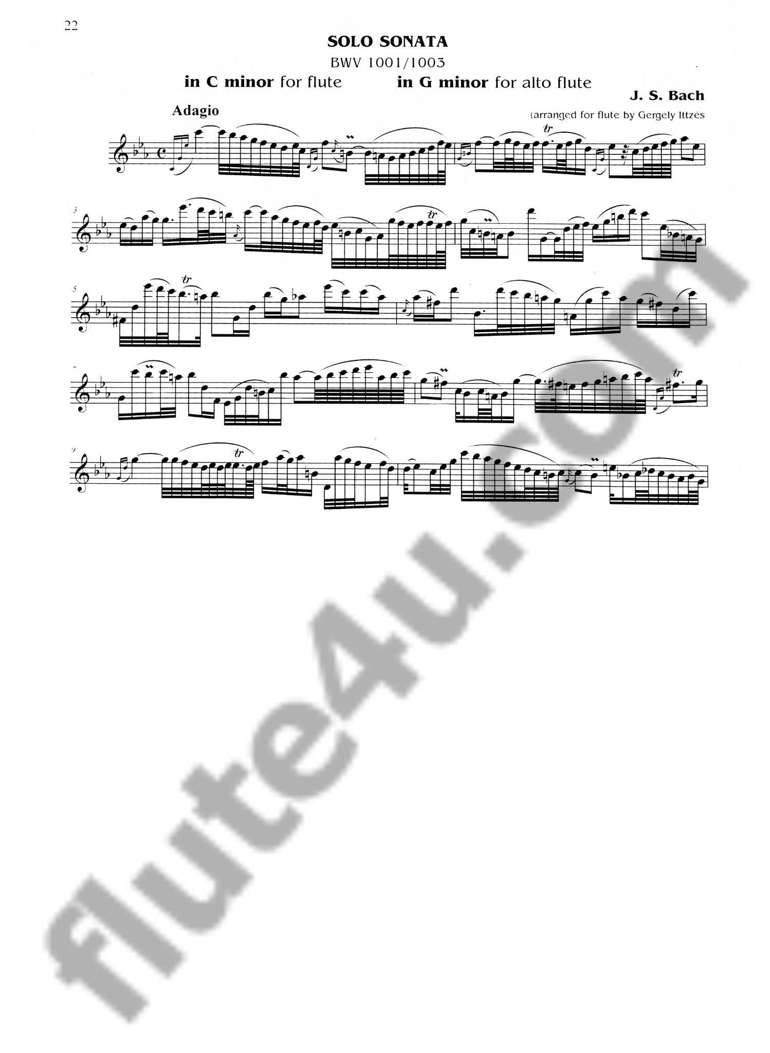 Bach, JS :: Never Enough of Bach, Vol. 2