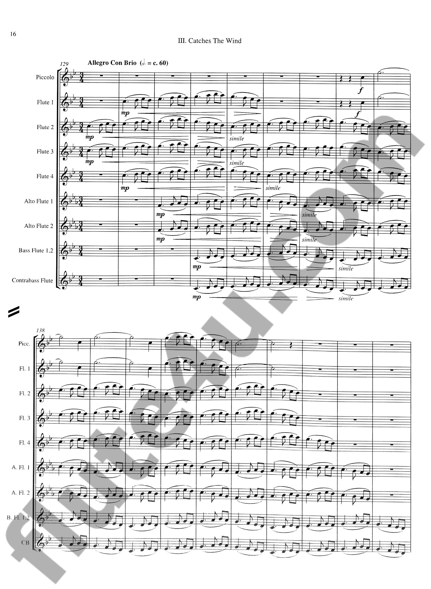 Carter, LE :: Triptych for Flutes
