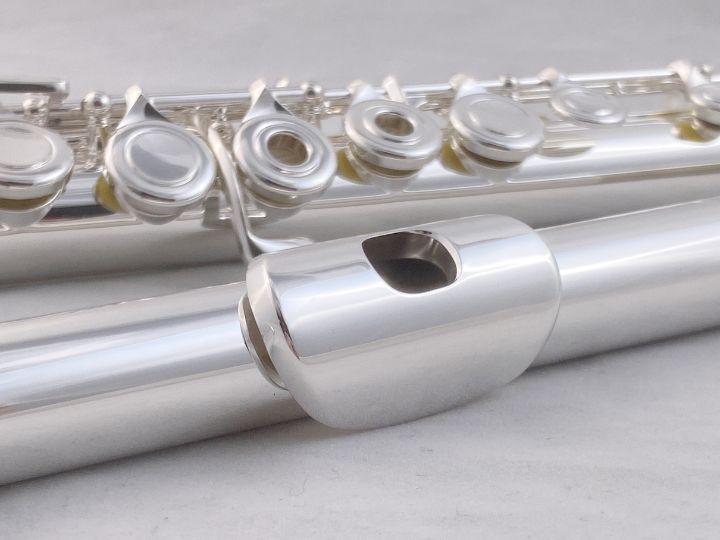 Di Zhao Flute DZ-401