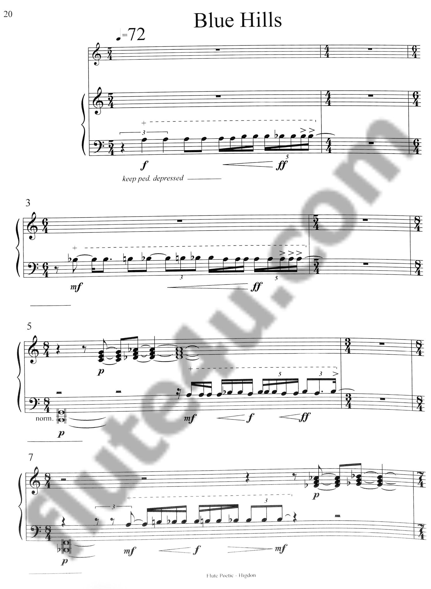 Higdon, J :: Flute Poetic