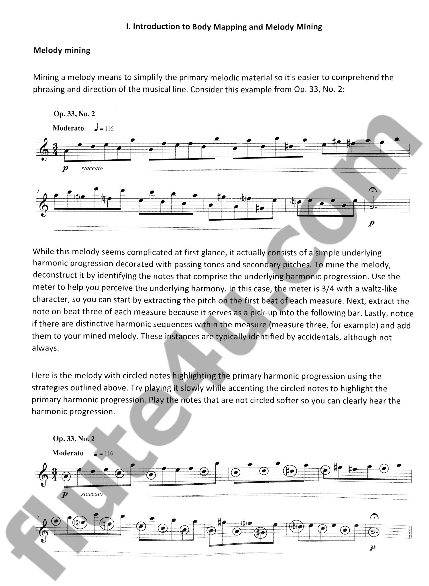 Likar, A; Urso, R :: Mindful Flute Etudes