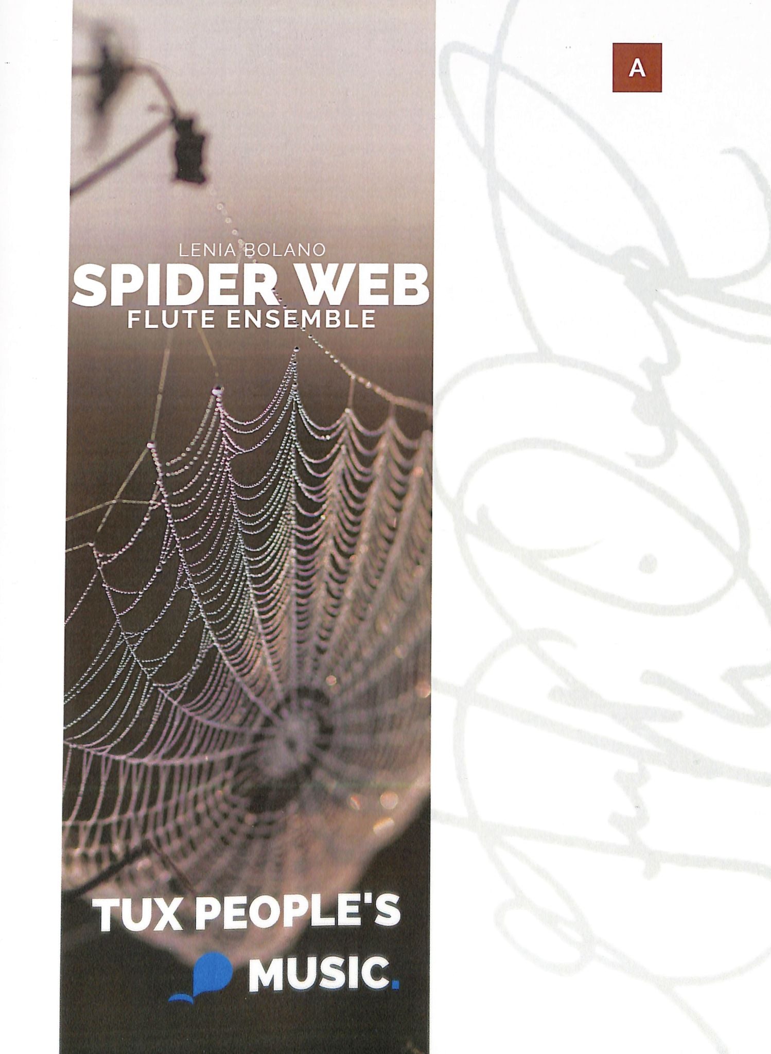 Bolano, L :: Spider Web