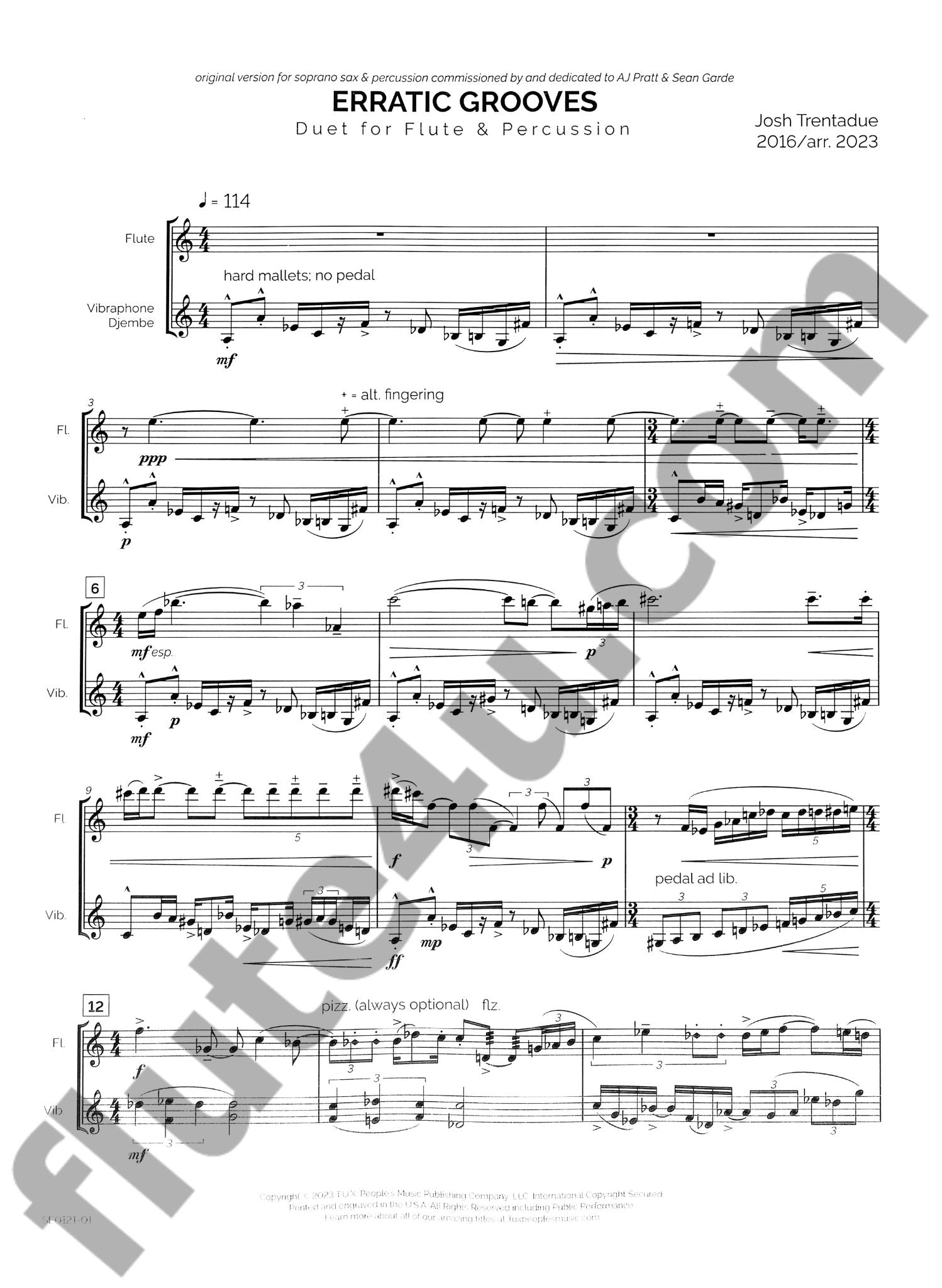 Trentadue, J :: Erratic Grooves