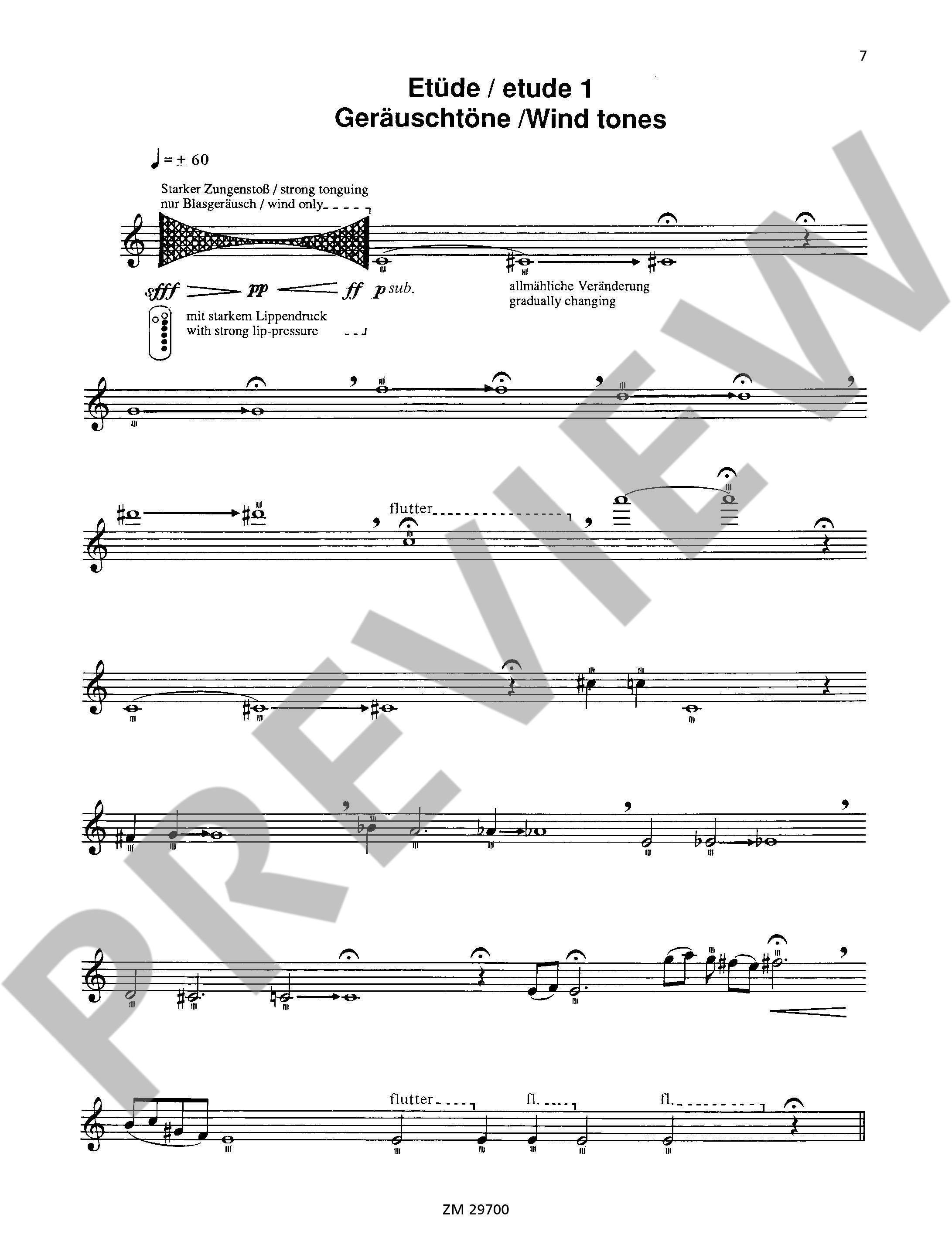 Offermans, W :: For the Contemporary Flutist