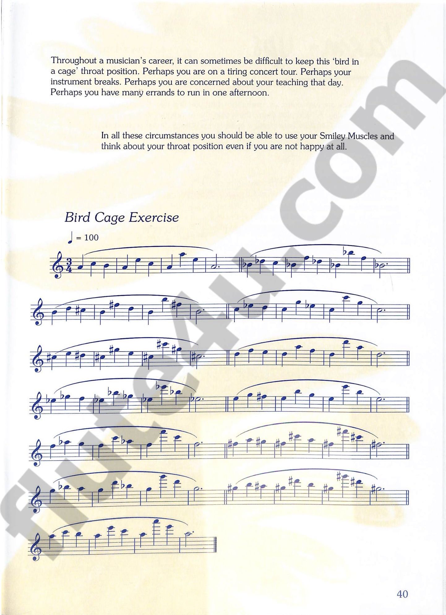 Verhoyen, P; Lauwers, A; Miller, S :: Peter's Piccolo World, Book 1