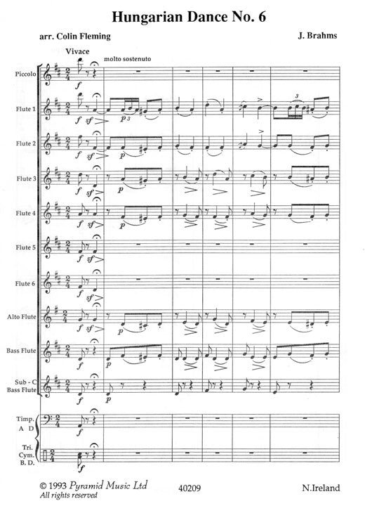 Brahms, J :: Hungarian Dance No. 6