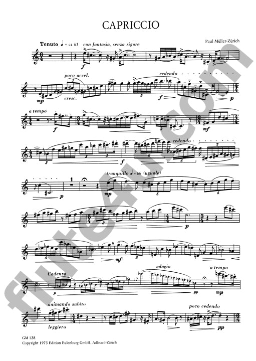 Muller-Zurich, P :: Capriccio