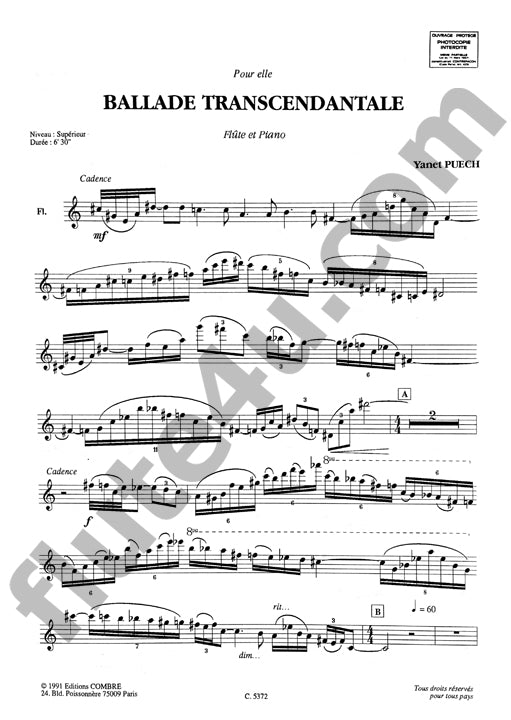 Puech, Y :: Ballade Transcendantale
