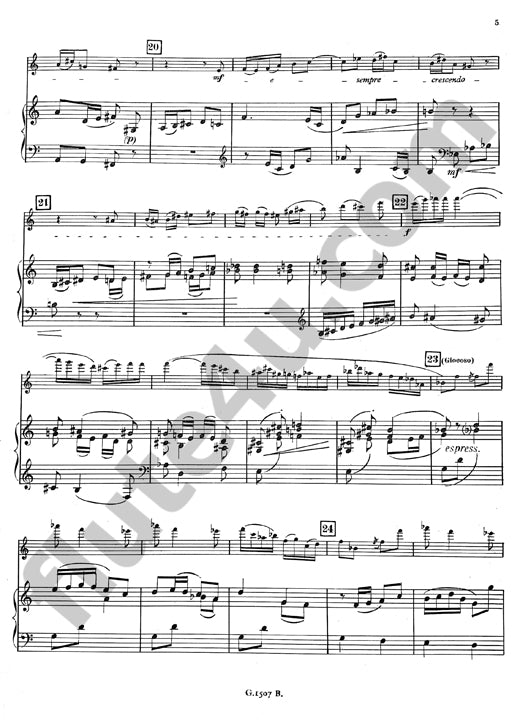 Ancelin, P :: Concerto Gioioso, op. 33