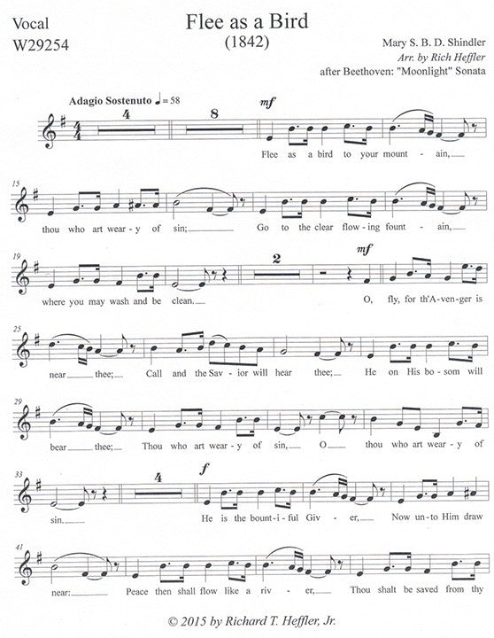 Shindler, M :: Flee as a Bird