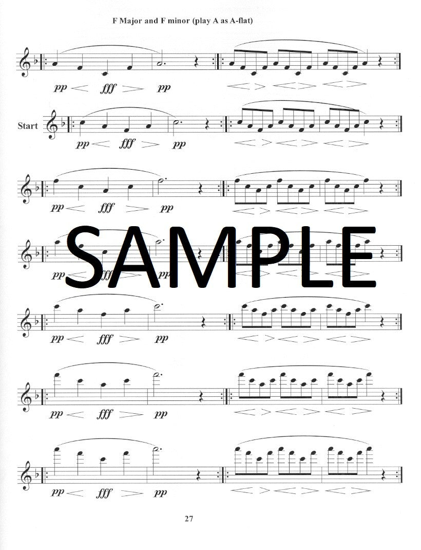 Blocki, K :: Planning to Play in Tune