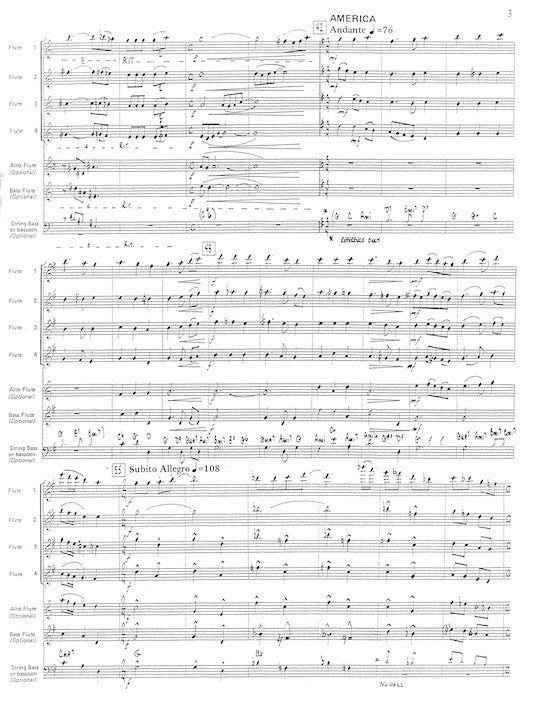 Holcombe, B :: American Flute Salute