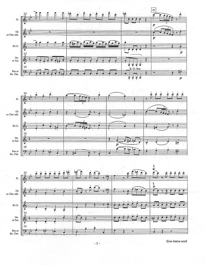 Mozart, WA :: Eine Kleine Nachtmusik