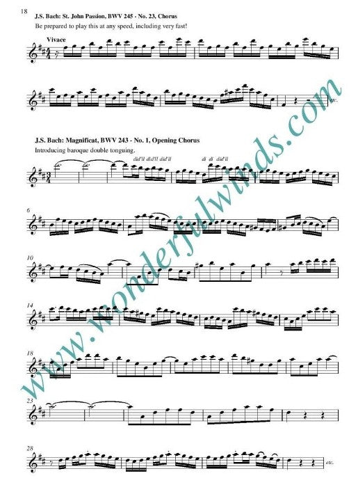 Walker, E :: Baroque Flute Studies