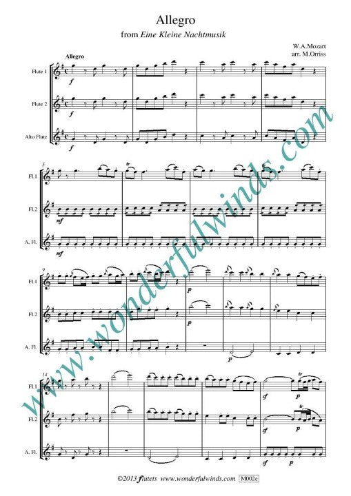 Mozart, WA :: Allegro from 'Eine Kleine Nachtmusik'
