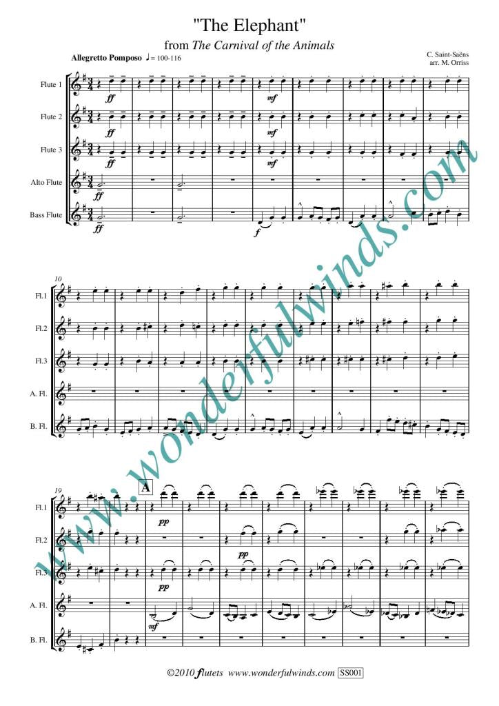 Saint-Saens, C :: The Elephant from Carnival of the Animals