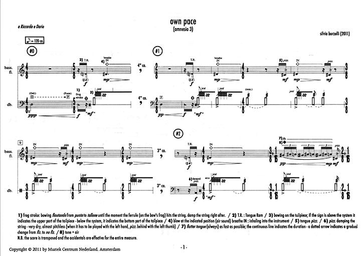 Borzelli, S :: Own Pace: Amnesia 3