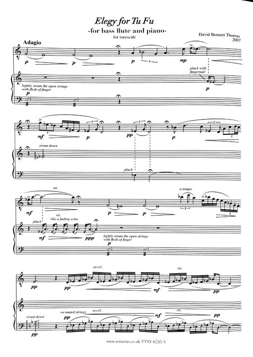Thomas, DB :: Elegy For Tu Fu