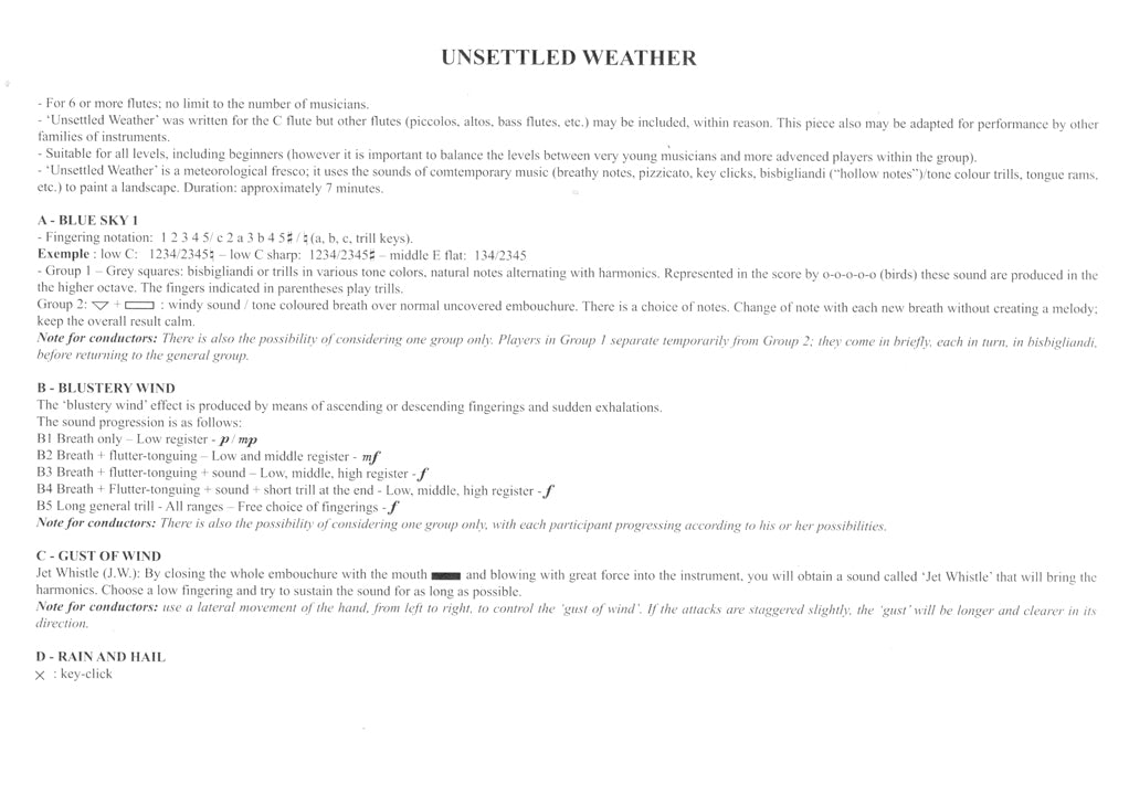 Dufeutrelle, S :: Temps Variable/ Unsettled Weather