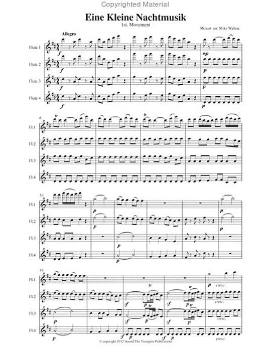 Mozart, WA :: Eine Kleine Nachtmusik: 1st Movement