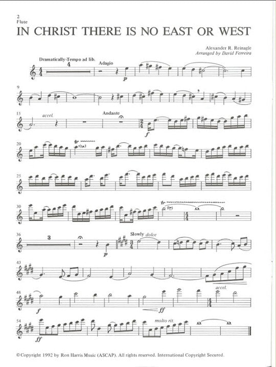 Various :: The Faithful Flutist II