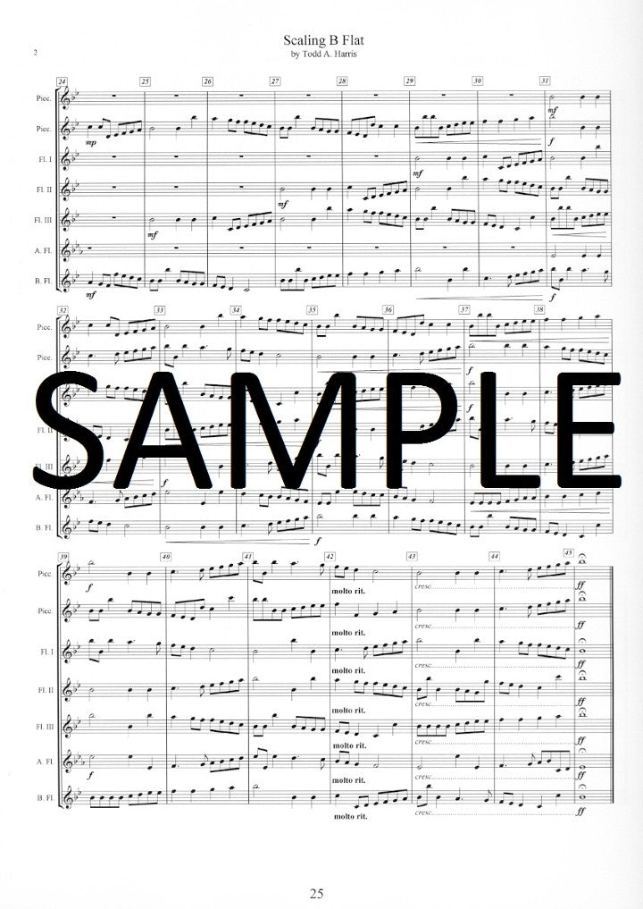 The Flute Boot Camp Manual: A Universal Flute and Piccolo Guide
