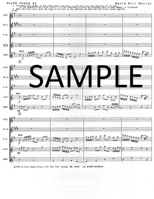Bailey, DH :: Flute Fugue No. 2
