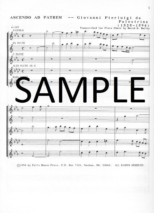 Palestrina, GP :: Ascendo ad Patrem