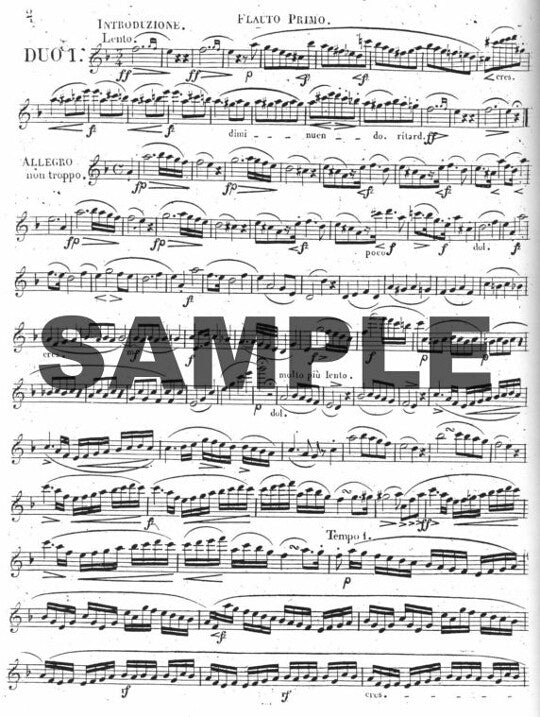 Berbiguier, BT :: Trois Grands Duos Concertans, op. 71