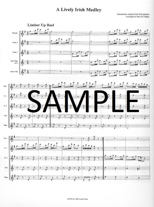 Traditional :: A Lively Irish Medley