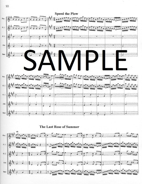 Traditional :: A Lively Irish Medley