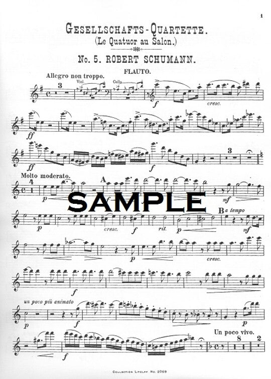 Schumann, R :: Salon Quartet